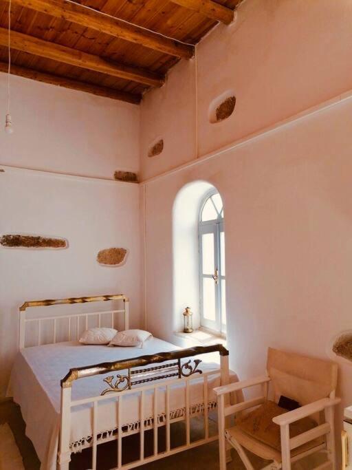 KoronosNaxos Mountain Retreat - Tiny House Build On Rock公寓 外观 照片