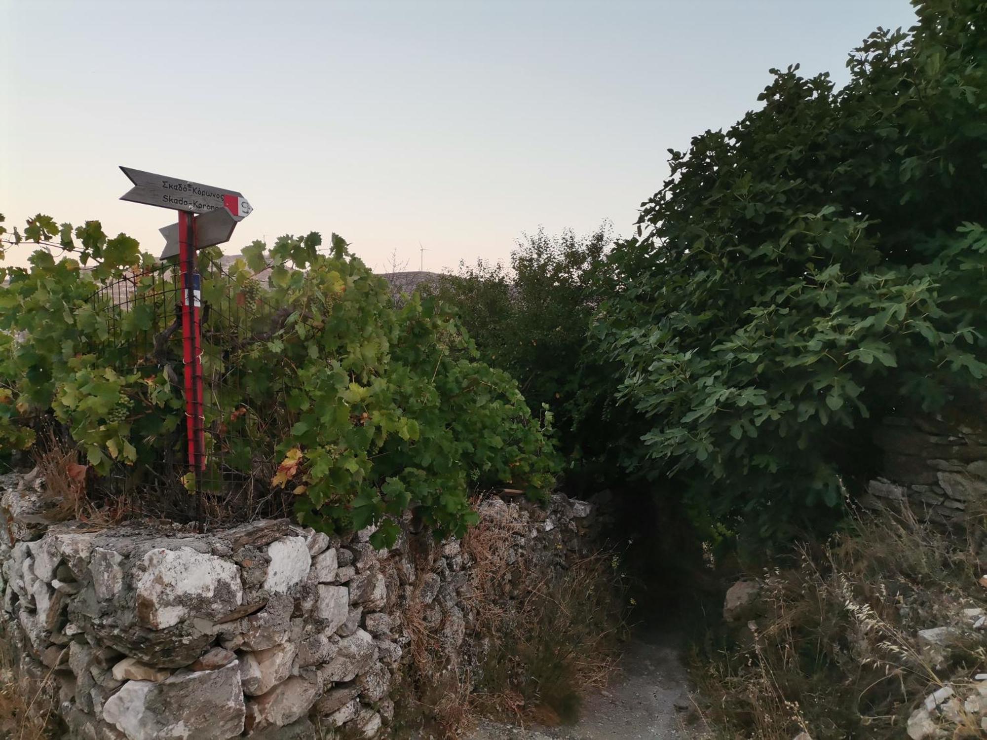 KoronosNaxos Mountain Retreat - Tiny House Build On Rock公寓 外观 照片